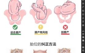 孕妇几个月定胎位_胎位什么时候固定