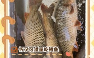 孕妇为什么不能吃鲤鱼_孕期吃鲤鱼对胎儿有影响吗