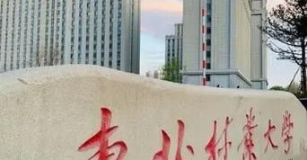 东北林业大学是211还是985_东北林业大学属于什么档次