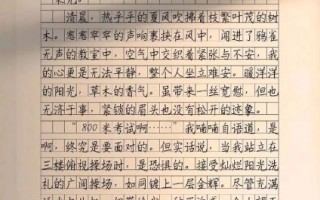 中考满分作文怎么写_如何摘抄并化为己用