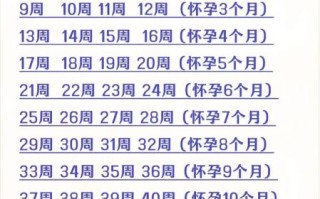 孕妇表怎么看_孕妇表怎么算孕周