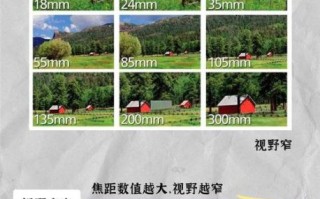 镜头的作用有哪些_不同镜头如何影响画面效果