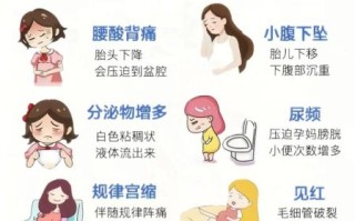 孕妇有早产迹象怎么办_早产征兆如何处理