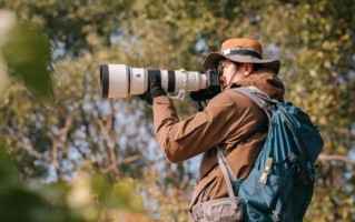 800mm镜头能拍多远_800mm镜头适合拍什么