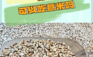 孕妇能吃薏仁米吗_薏仁米对孕妇的影响