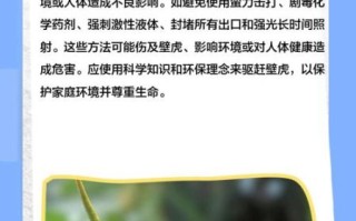 孕妇家里有壁虎怎么办_壁虎对孕妇有害吗