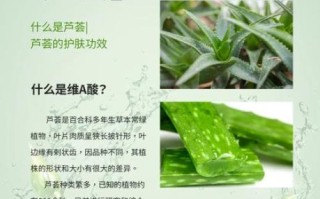 孕妇能吃芦荟吗_芦荟对孕妇的危害