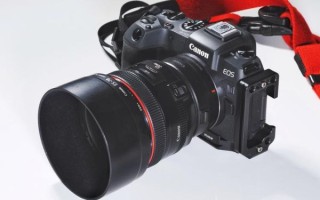 佳能50定焦镜头哪个好_佳能50mm定焦镜头推荐