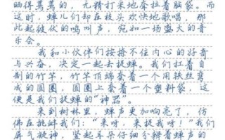 暑假趣事作文怎么写_600字范文如何扩写到800字