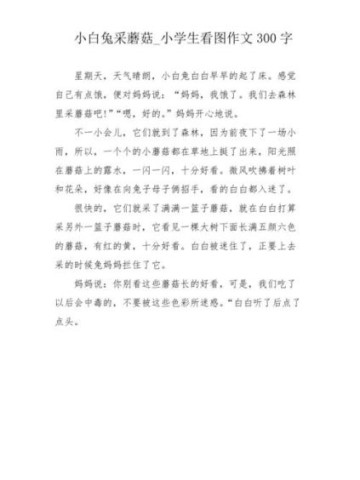 采蘑菇作文怎么写_如何描写森林细节