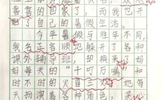 五年级下册暑假作文怎么写_如何写出800字