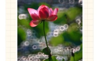 自制折返镜头教程_折返镜头拍摄效果如何