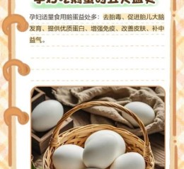 孕妇吃鹅蛋好吗_孕妇吃鹅蛋有什么好处