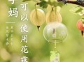 孕妇可以闻精油吗_孕妇可以闻花露水吗