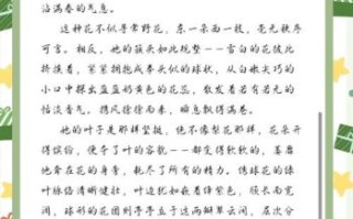 刺绣是什么_如何写好一篇介绍刺绣的作文