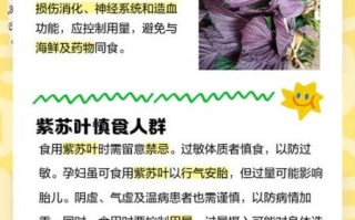紫苏叶孕妇可以吃吗_紫苏叶孕妇食用禁忌