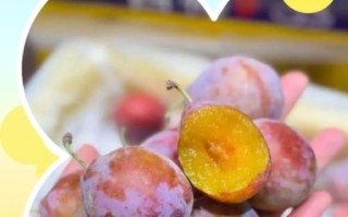 孕妇能喝西梅汁吗_西梅汁对胎儿有影响吗