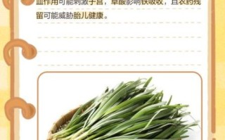 孕妇可以吃韭菜吗_怀孕吃韭菜对胎儿有影响吗