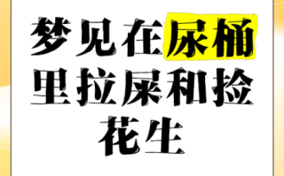 孕妇梦见拉屎是什么意思_孕妇梦见拉屎是生男生女