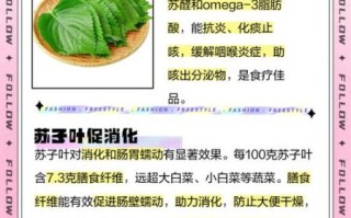 孕妇可以吃苏子叶吗_苏子叶对孕妇的好处与禁忌