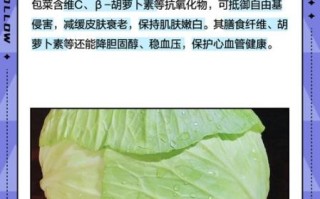 孕妇可以吃包菜吗_包菜对胎儿的好处