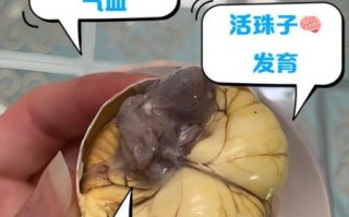 孕妇能吃活珠子吗_活珠子对孕妇的影响