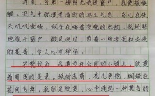 我的一天作文怎么写_600字作文写作技巧