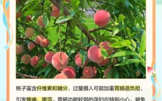 孕妇可以吃桃子吗_孕期吃桃子的好处与禁忌