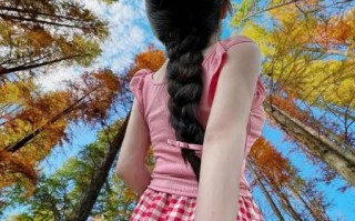 10mm镜头适合拍什么_10mm超广角怎么拍