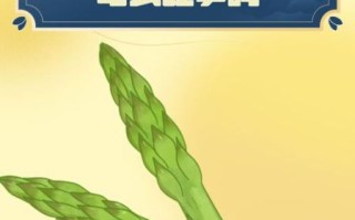 孕妇可以吃竹笋吗_孕妇吃竹笋的注意事项