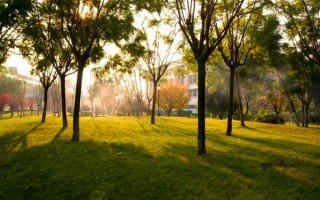 时景观镜头怎么拍_时景观镜头适合什么场景