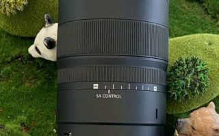 佳能新百微镜头值得买吗_实拍对比评测