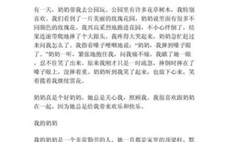 我的奶奶作文怎么写_写奶奶的作文600字如何扩展