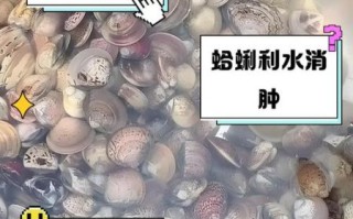 孕妇可以吃蛤蜊吗_怀孕吃蛤蜊注意事项