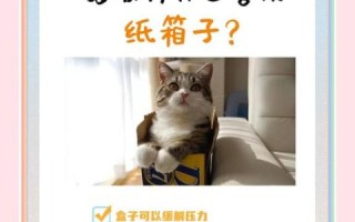 为什么猫喜欢纸箱_如何让猫咪更快乐