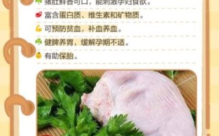 孕妇能吃猪肚吗_孕妇吃猪肚的好处与禁忌