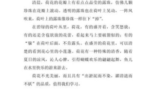 荷花怎么写_描写荷花的作文技巧