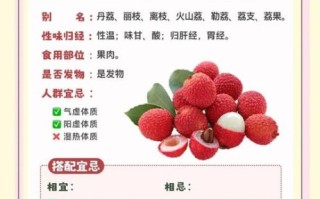 孕妇能吃荔枝吗_孕妇吃荔枝注意事项