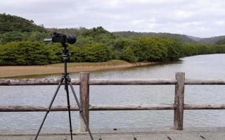 适马500定焦镜头值得买吗_适马500定焦镜头评测