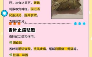 香叶孕妇能吃吗_香叶对孕妇的影响