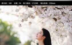 250镜头适合拍什么_250镜头拍人像还是风景