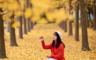 拍银杏用什么镜头_银杏人像镜头推荐