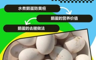 孕妇吃鹅蛋的正确方法_鹅蛋一天吃几个最好