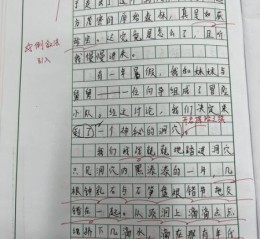 如何写好想象的作文_想象作文怎么写