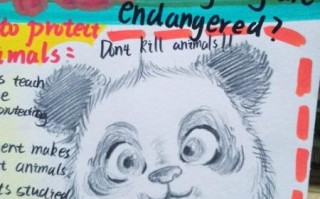 why_are_pandas_endangered_how_to_save_them