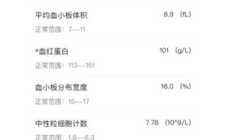 孕妇血清铁蛋白正常值是多少_低于多少算缺铁