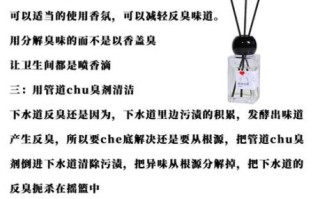 厕所怎么除臭_厕所异味怎么去除