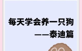 孕妇可以养泰迪狗吗_孕期养泰迪注意事项