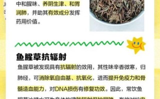 孕妇能喝鱼腥草水吗_鱼腥草水对胎儿有影响吗