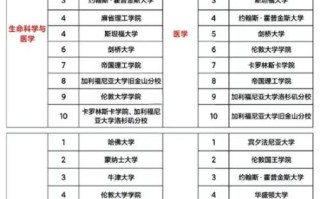 世界大学排名哪个权威_如何选校